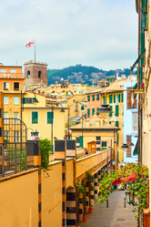 Similar image 21576676