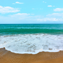 Similar image 21576696