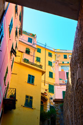 Similar image 21576703