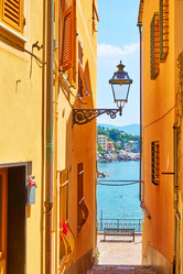 Similar image 21576720