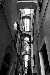 Similar image 21576783