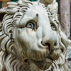 Similar image 21580944