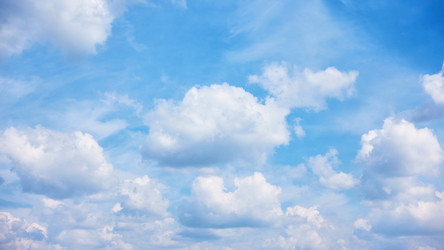 Similar image 21597834