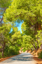 Similar image 21576843