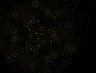 Similar image 21558038