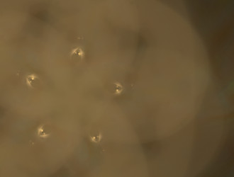 Similar image 21623750