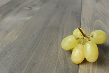 Similar image 21628619