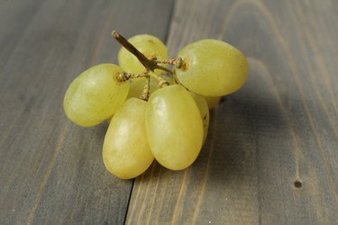 Similar image 21628620