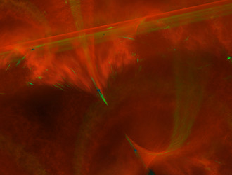 Similar image 21618404