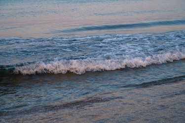 Similar image 21559988