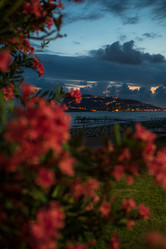 Similar image 21559989