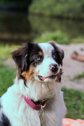 Similar image 21608463