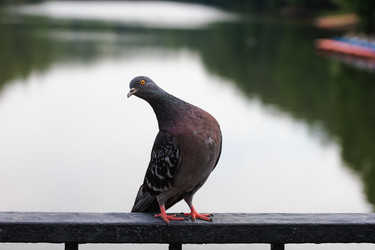 Similar image 21608465