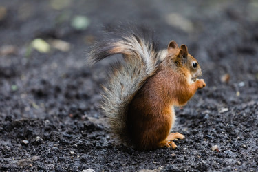 Similar image 21608543