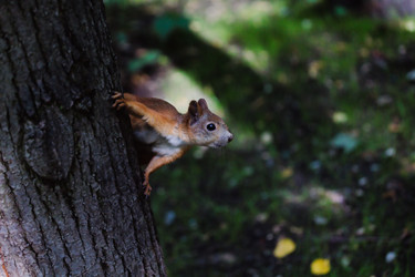 Similar image 21608544