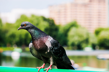 Similar image 21608545