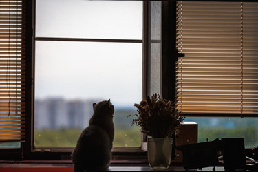 Similar image 21608546