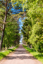 Similar image 21556328