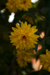 Similar image 21556409