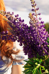 Similar image 21553955