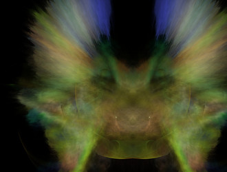 Similar image 21625810