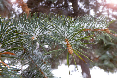 Similar image 21550454