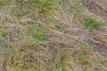 Similar image 21550460