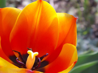 Similar image 21550462