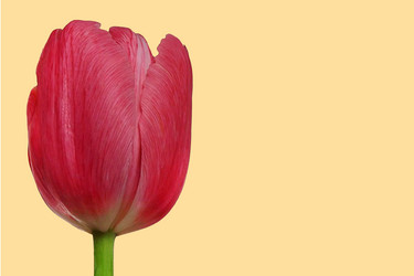 Similar image 21550659