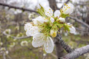 Similar image 21550664