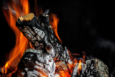 Similar image 21550666