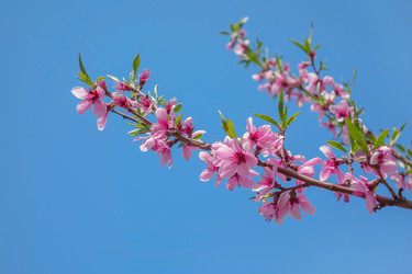 Similar image 21550668