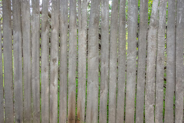 Similar image 21550682