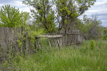 Similar image 21550683