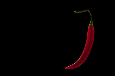 Similar image 21550685