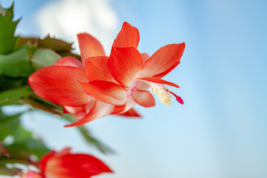 Similar image 21550687