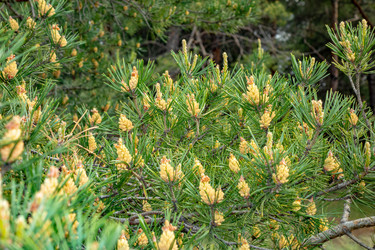 Similar image 21550688