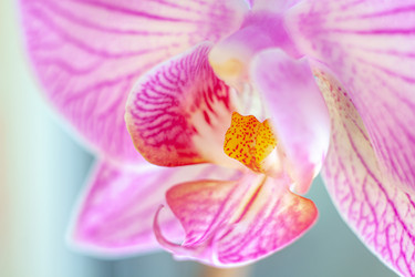 Similar image 21550689