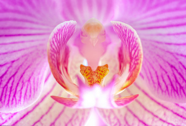 Similar image 21550691