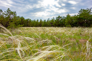 Similar image 21550692