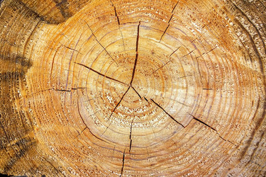 Similar image 21550694