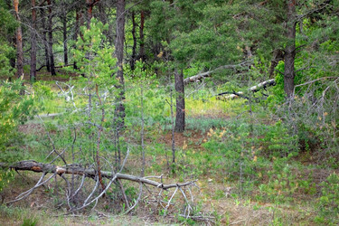 Similar image 21550696