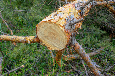 Similar image 21550697