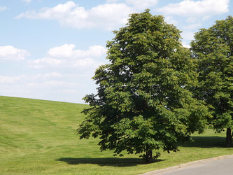 Similar image 21550774