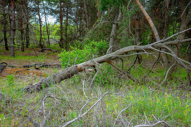 Similar image 21550793