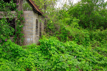 Similar image 21550795