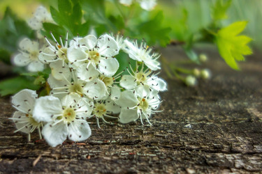 Similar image 21550797