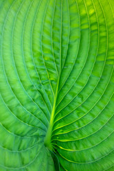 Similar image 21550799