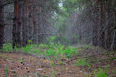 Similar image 21550800