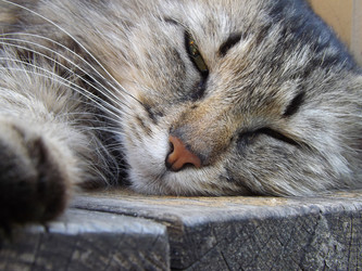 Similar image 21550801